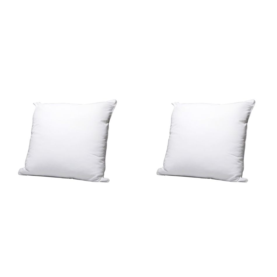 2 Oreillers 48x74 Cm Qualité Hôtelière - Rembourrage Fibres - Housse Douce - Pour Dormeurs Côté, Dos, Ventre - Livré Sous Vide