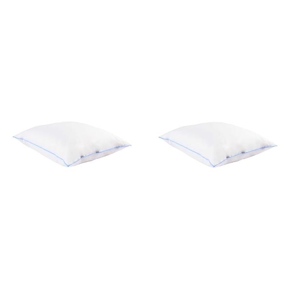 Lot de 2 oreillers moelleux duvet de canard Someo DAS